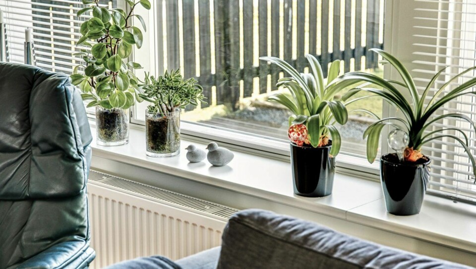 Bruk av ventilasjon ved vinduene er en løsning som kan vinne pris i Danmark.