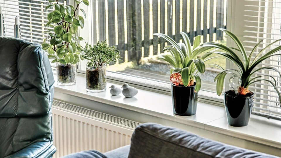 Bruk av ventilasjon ved vinduene er en løsning som kan vinne pris i Danmark. Bruk av ventilasjon ved vinduene er en løsning som kan vinne pris i Danmark.