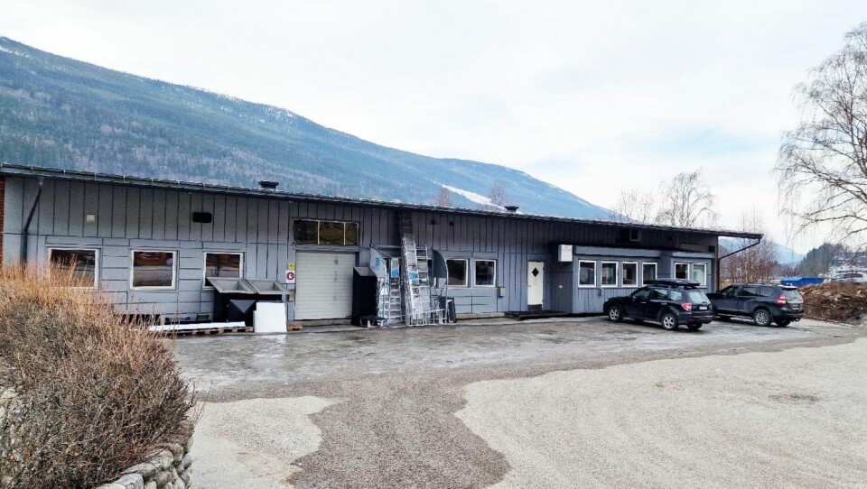 Blikkhyset Hallingdal driver med tak, fasader og ventilasjon og opererer på hyttemarkedet, i boliger og i næringsbygg.