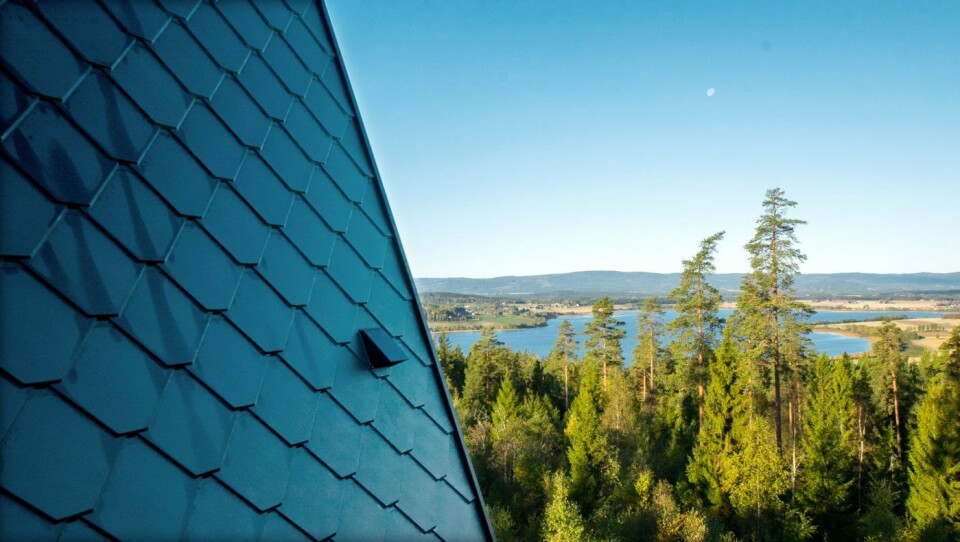 Utsikten fra tretopphytta er det ingen ting å si på.Foto: Rasmus Norlander