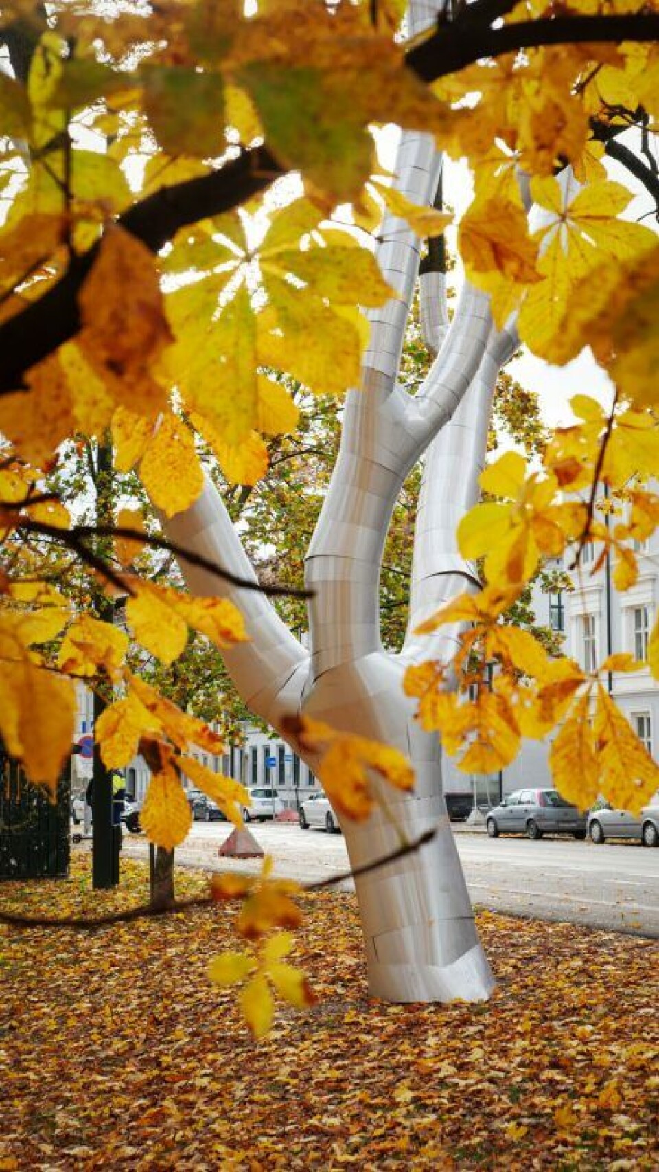 Her står rustningen på treet mellom blader i parken.Foto: Carsten Aniksdal