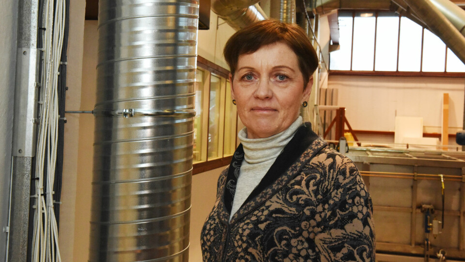 Seniorforsker Anne G. Lien har vært med og forske på lønnsomheten av oppgradering med balansert ventilasjon.