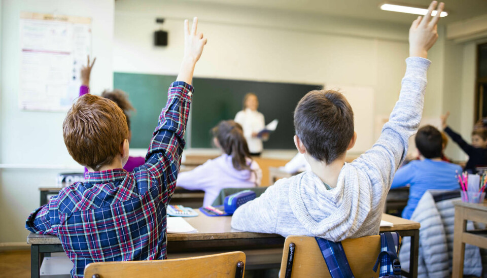 Schoolchildren at classroom with raised hands answering teacher's question. Foto: iStock