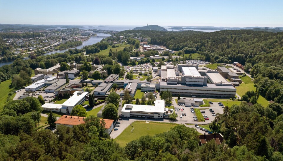 Sørlandets sykehus Kristiansand.